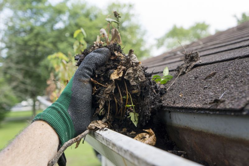 Clogged Gutter Clearing in Arvada, CO