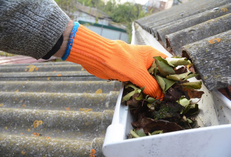 Gutter Leaves Removal in Longmont, CO