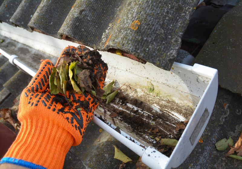 Clogged Gutter Clearing in Fredericksburg, VA