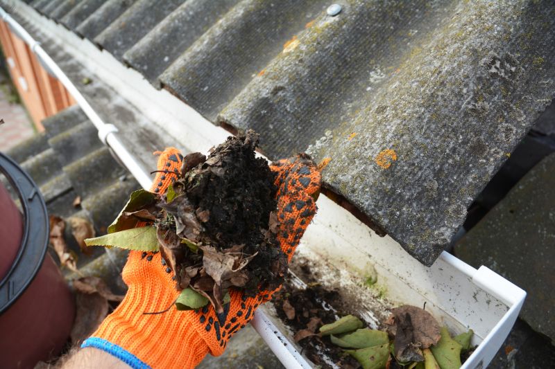 Gutter Cleaning in Longmont, CO