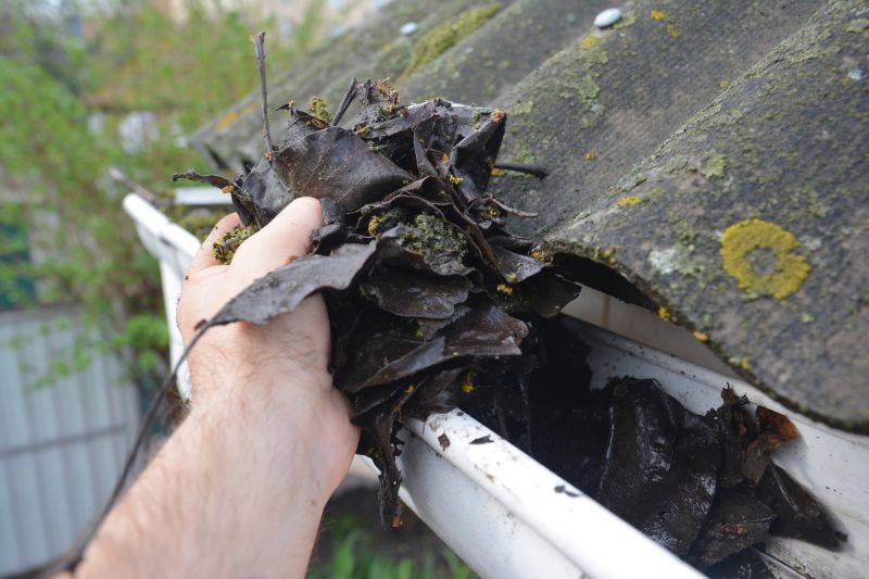 Gutter Cleaning in Monmouth County, NJ