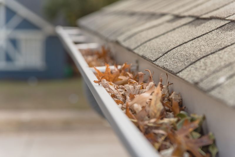Gutter Leaves Removal in Pittsburgh, PA