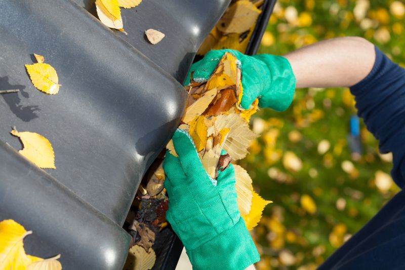 Gutter Leaves Removal in Boulder, CO