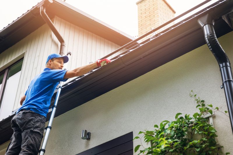 Gutter and Roof Cleaning