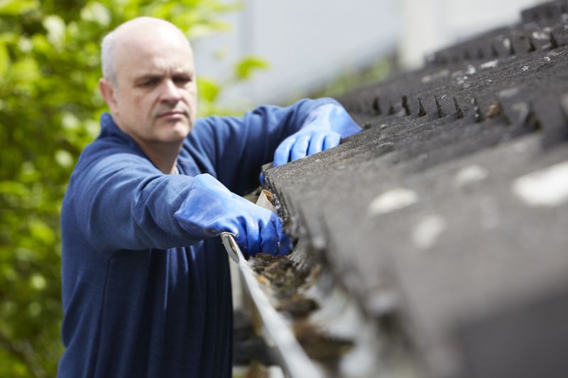 Roof Gutter Cleaning in Arvada, CO